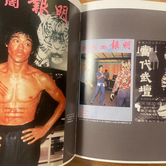 2002 Hong Kong Chinese movie book on Bruce Lee - Picture 8 of 12